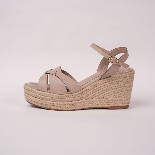 Plataforma Darcy Milo