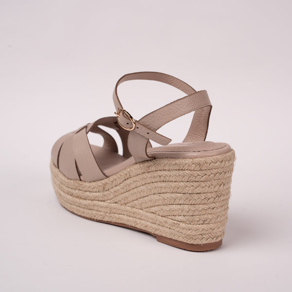 Plataforma Darcy Milo