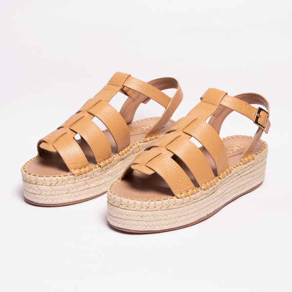 Sale Plataformas arizona trigo